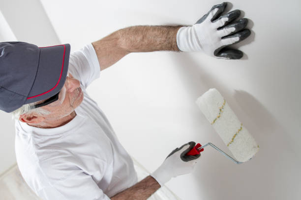 Reliable Williamsburg, VA Dry wall and painting Solutions